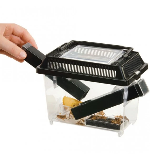 Exo Terra Cricket Pen stor